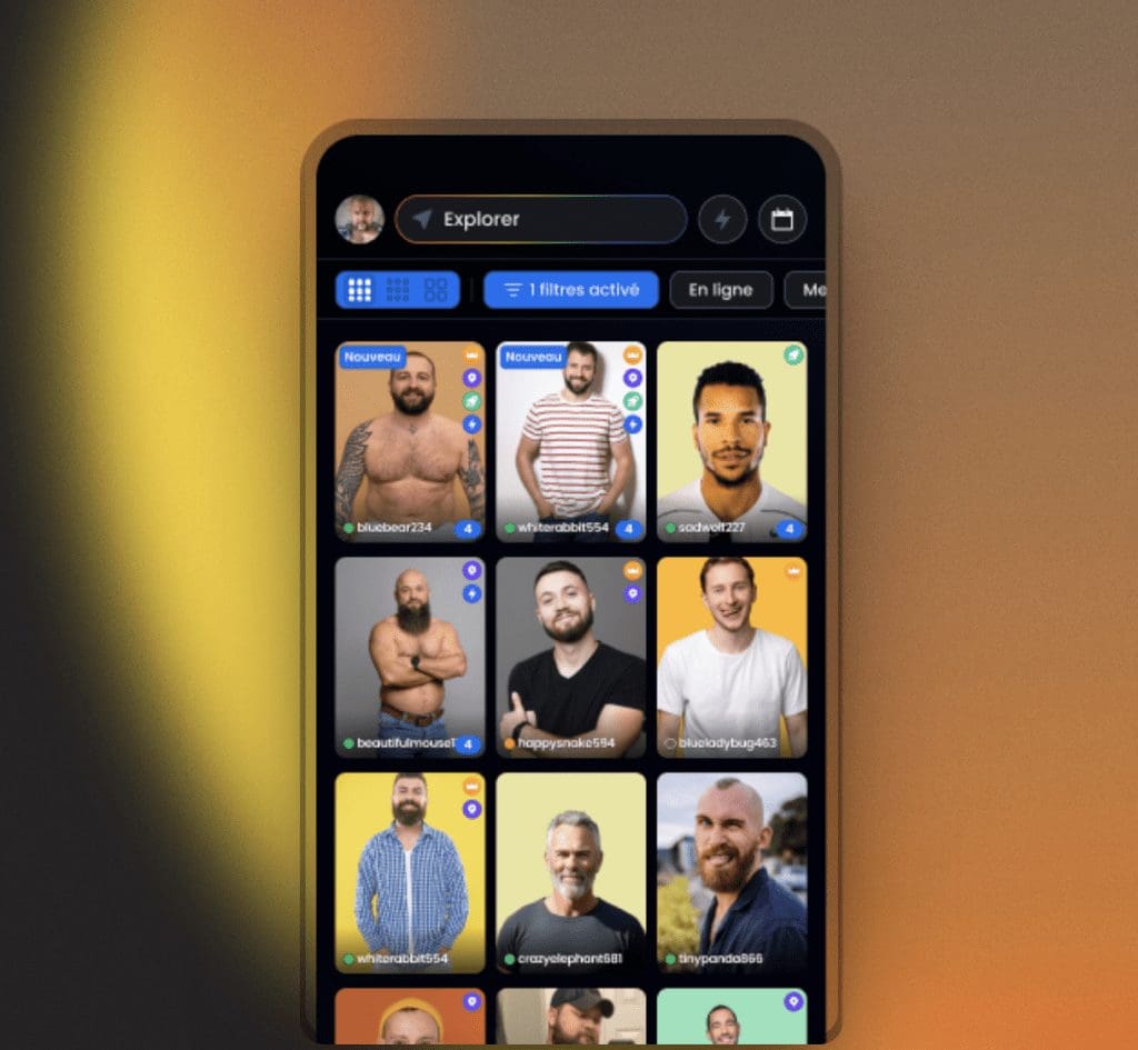 Gay Dating App